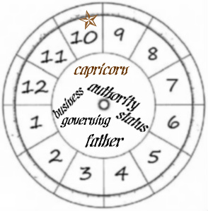 capricorn ninth house in astrology